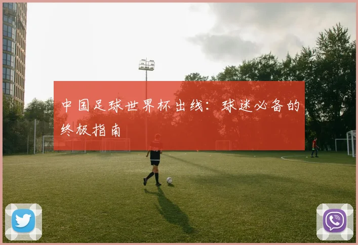 中国足球世界杯出线:球迷必备的终极指南